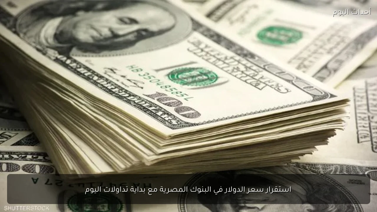 استقرار سعر الدولار في البنوك المصرية مع بداية تداولات اليوم