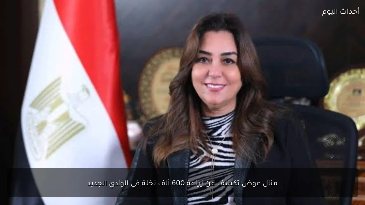 منال عوض تكشف عن زراعة 600 ألف نخلة في الوادي الجديد