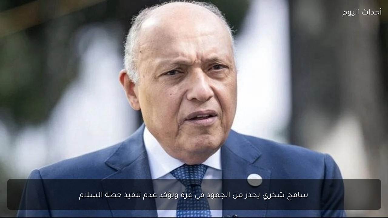 سامح شكري يحذر من الجمود في غزة ويؤكد عدم تنفيذ خطة السلام