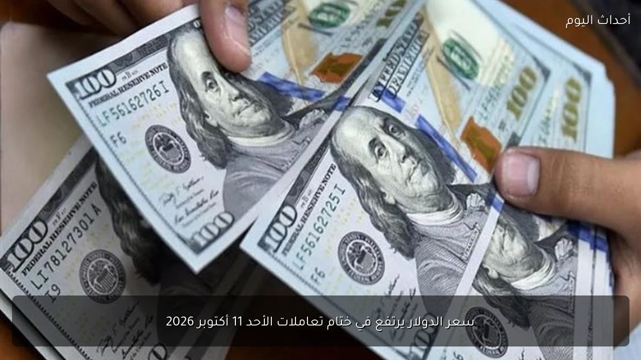 سعر الدولار يرتفع في ختام تعاملات الأحد 11 أكتوبر 2026