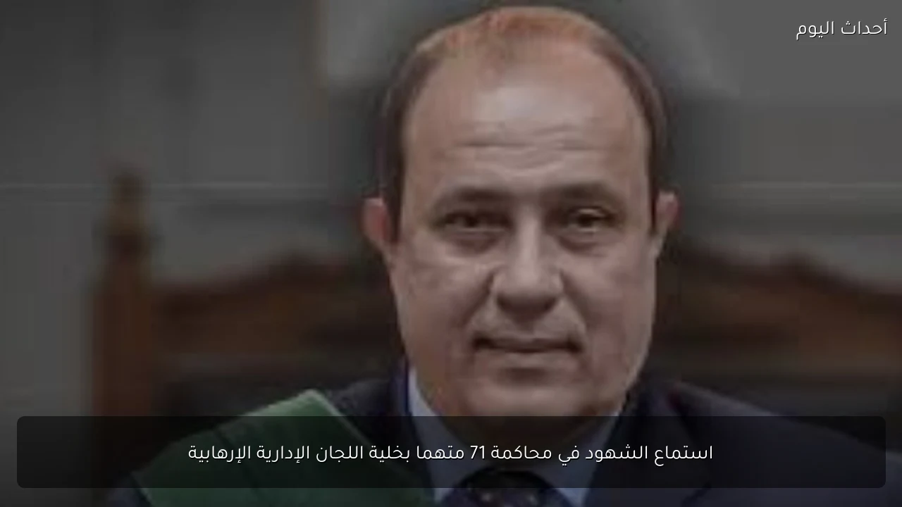 استماع الشهود في محاكمة 71 متهما بخلية اللجان الإدارية الإرهابية