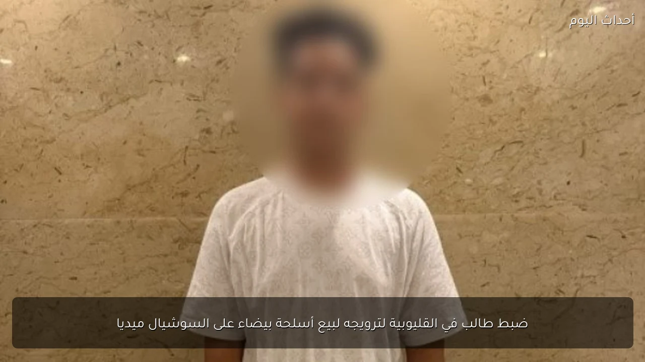 ضبط طالب في القليوبية لترويجه لبيع أسلحة بيضاء على السوشيال ميديا
