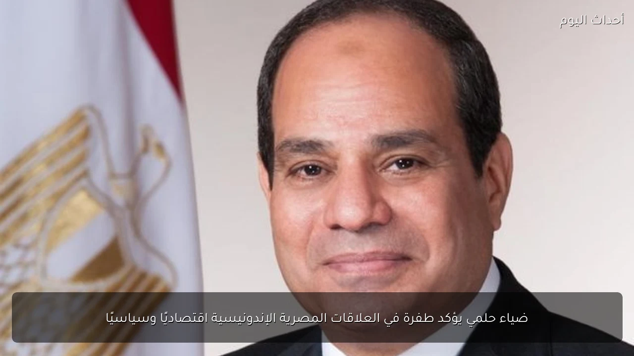 ضياء حلمي يؤكد طفرة في العلاقات المصرية الإندونيسية اقتصاديًا وسياسيًا
