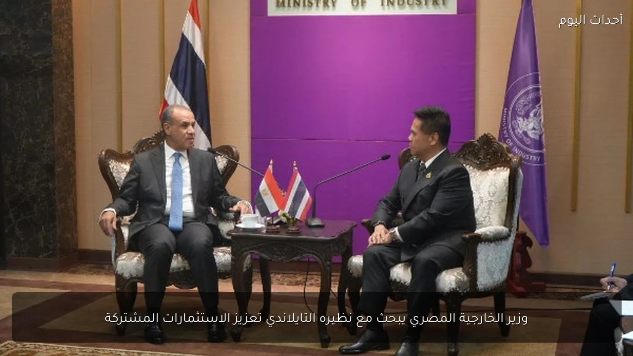 وزير الخارجية المصري يبحث مع نظيره التايلاندي تعزيز الاستثمارات المشتركة
