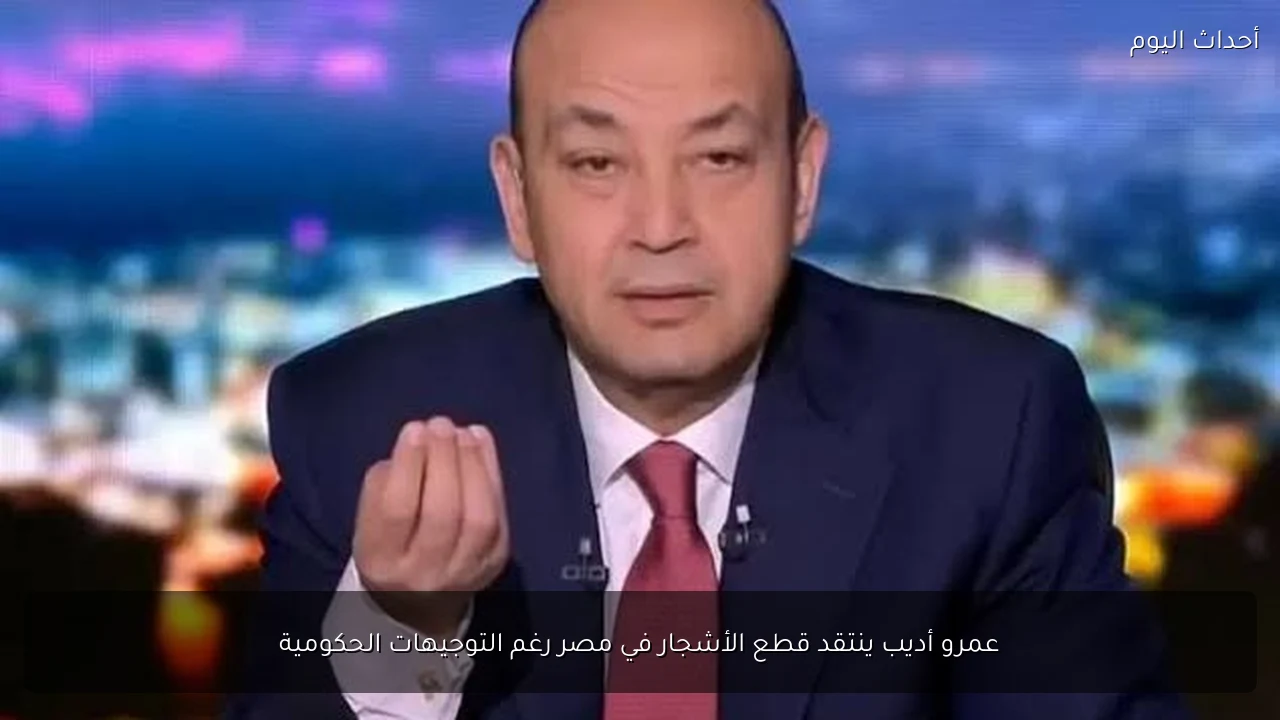 عمرو أديب ينتقد قطع الأشجار في مصر رغم التوجيهات الحكومية