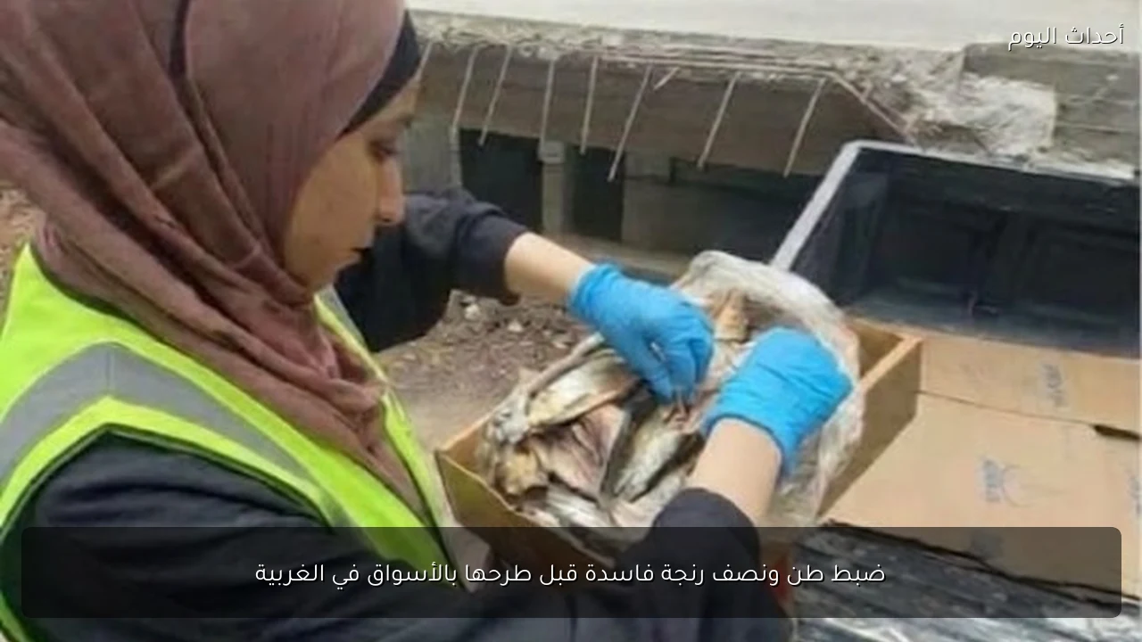 ضبط طن ونصف رنجة فاسدة قبل طرحها بالأسواق في الغربية