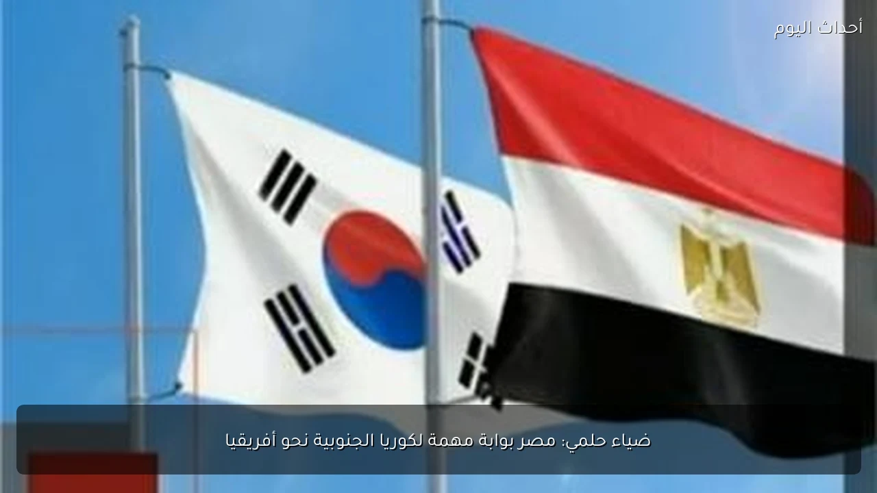 ضياء حلمي: مصر بوابة مهمة لكوريا الجنوبية نحو أفريقيا