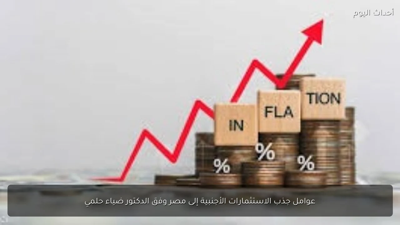 عوامل جذب الاستثمارات الأجنبية إلى مصر وفق الدكتور ضياء حلمي