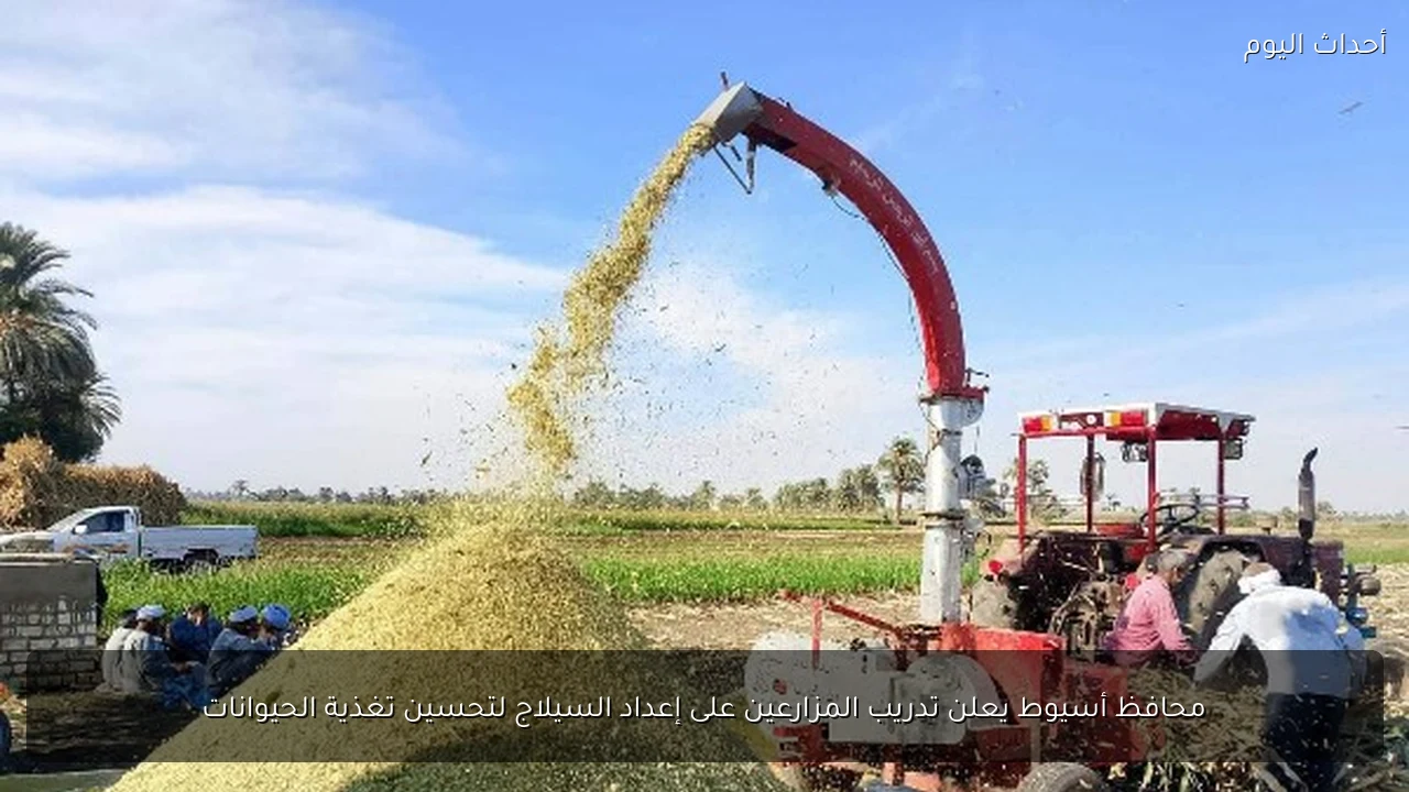 محافظ أسيوط يعلن تدريب المزارعين على إعداد السيلاج لتحسين تغذية الحيوانات