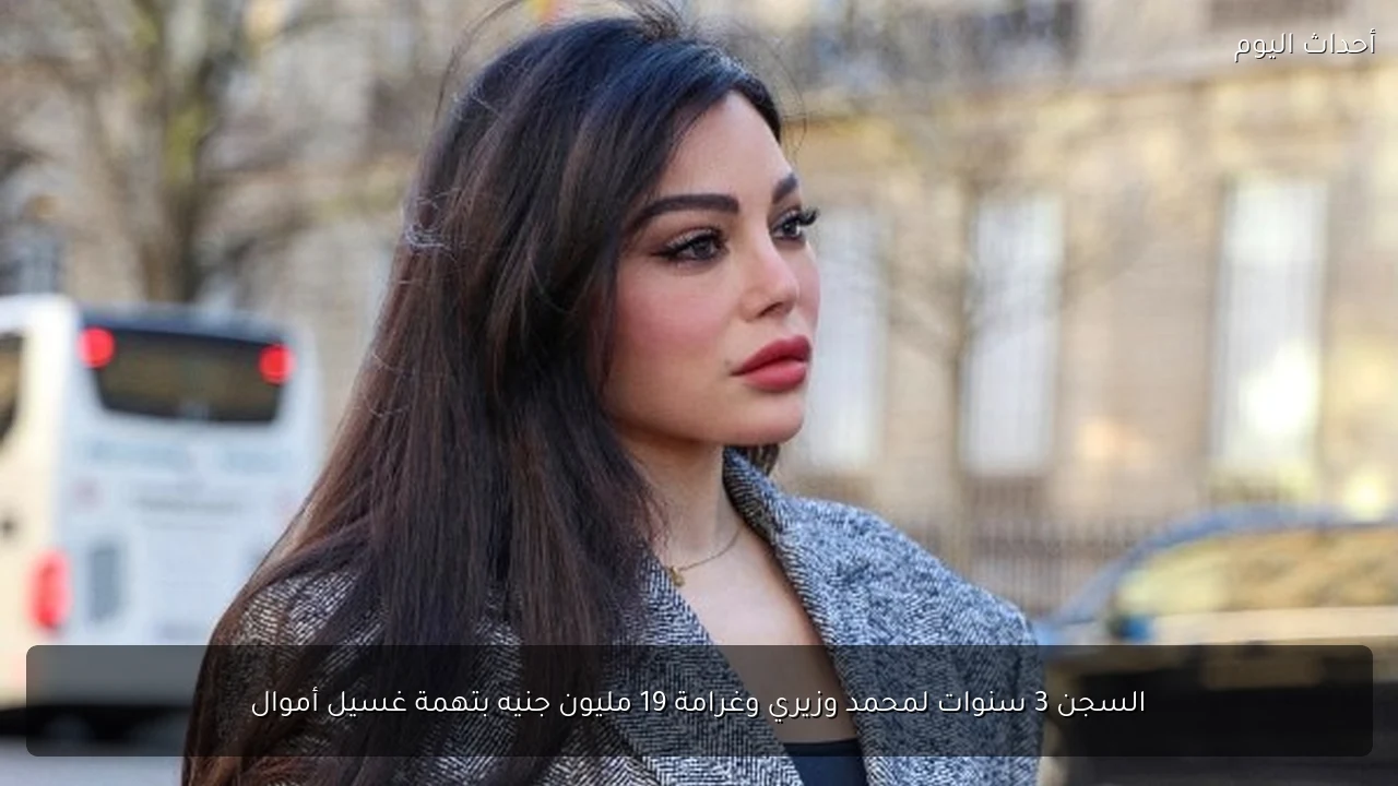 السجن 3 سنوات لمحمد وزيري وغرامة 19 مليون جنيه بتهمة غسيل أموال