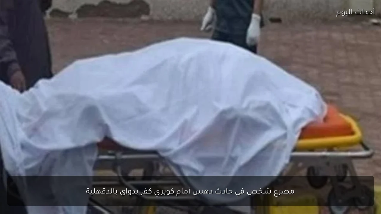 مصرع شخص في حادث دهس أمام كوبري كفر بدواي بالدقهلية