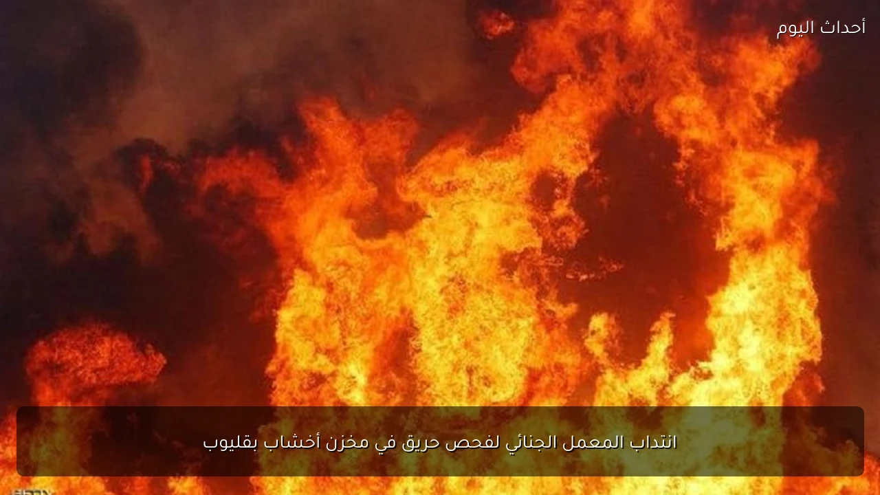 انتداب المعمل الجنائي لفحص حريق في مخزن أخشاب بقليوب