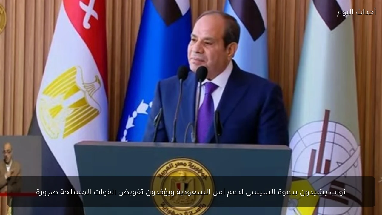 نواب يشيدون بدعوة السيسي لدعم أمن السعودية ويؤكدون تفويض القوات المسلحة ضرورة