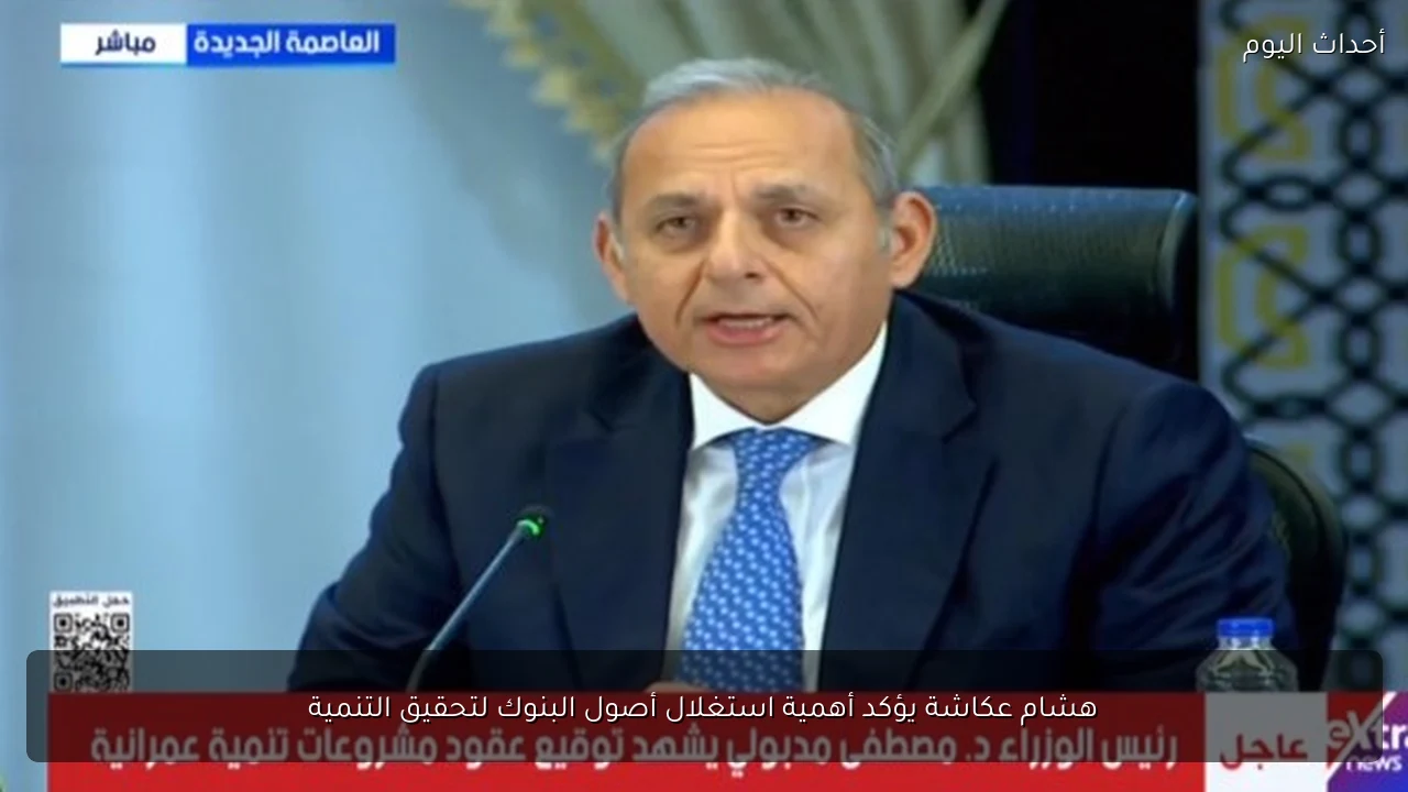 هشام عكاشة يؤكد أهمية استغلال أصول البنوك لتحقيق التنمية