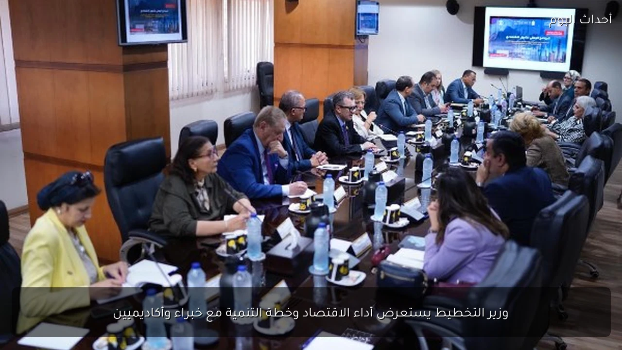 وزير التخطيط يستعرض أداء الاقتصاد وخطة التنمية مع خبراء وأكاديميين