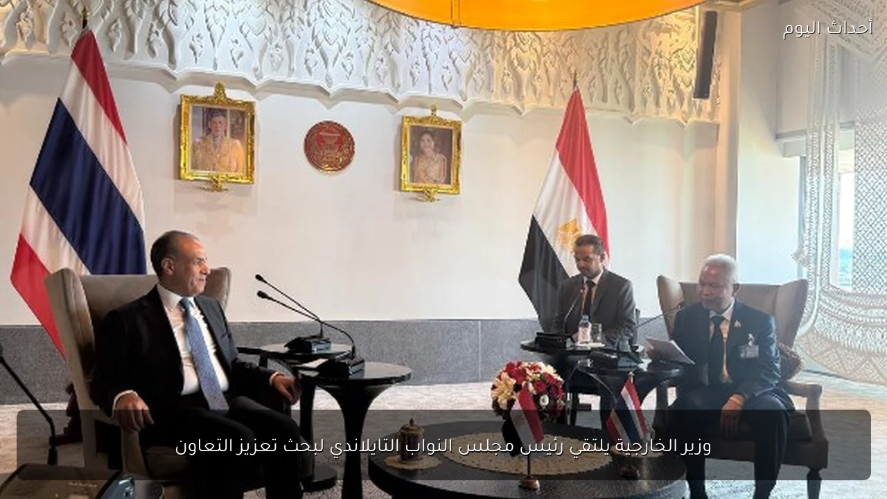 وزير الخارجية يلتقي رئيس مجلس النواب التايلاندي لبحث تعزيز التعاون