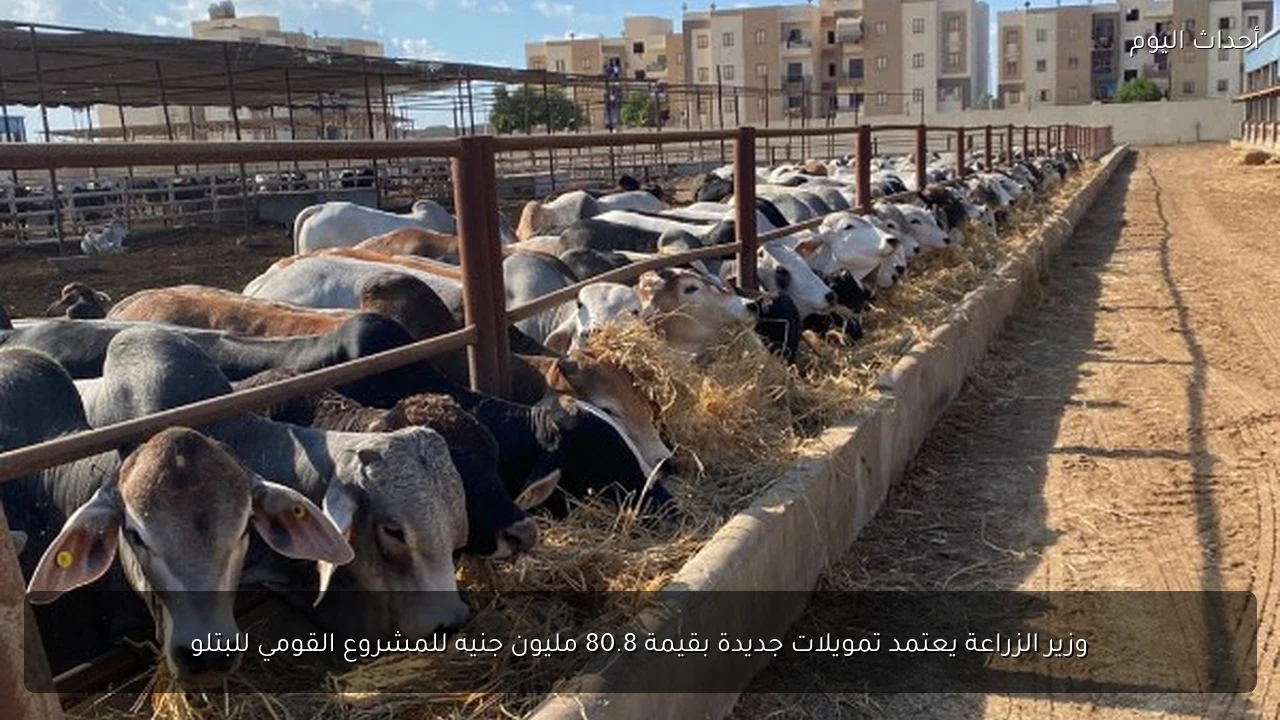 وزير الزراعة يعتمد تمويلات جديدة بقيمة 80.8 مليون جنيه للمشروع القومي للبتلو