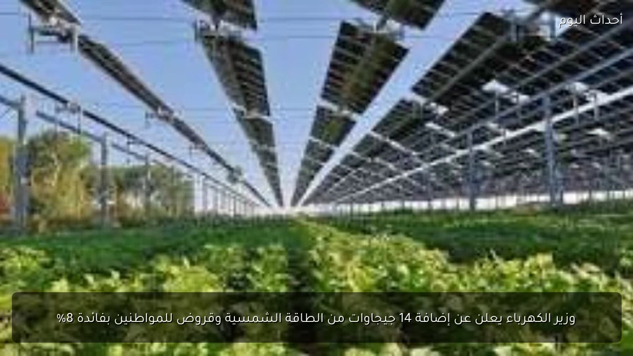 وزير الكهرباء يعلن عن إضافة 14 جيجاوات من الطاقة الشمسية وقروض للمواطنين بفائدة 8%