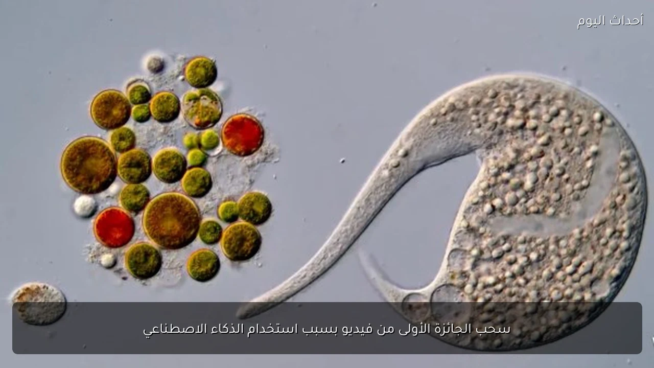سحب الجائزة الأولى من فيديو بسبب استخدام الذكاء الاصطناعي