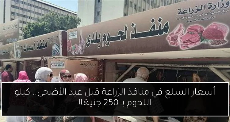 أسعار السلع في منافذ الزراعة قبل عيد الأضحى.. كيلو اللحوم بـ 250 جنيهًا!