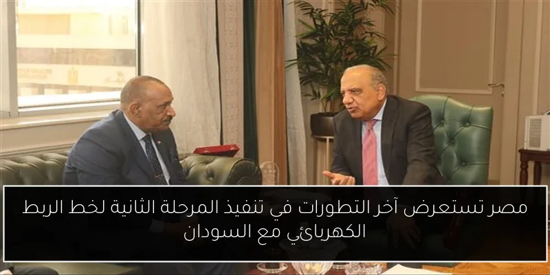 مصر تستعرض آخر التطورات في تنفيذ المرحلة الثانية لخط الربط الكهربائي مع السودان