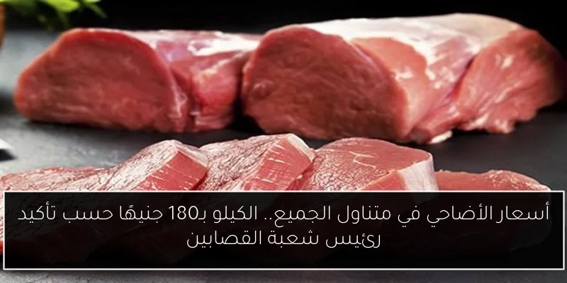 أسعار الأضاحي في متناول الجميع.. الكيلو بـ180 جنيهًا حسب تأكيد رئيس شعبة القصابين