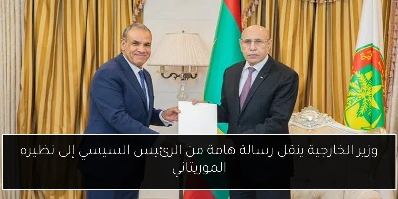 وزير الخارجية ينقل رسالة هامة من الرئيس السيسي إلى نظيره الموريتاني