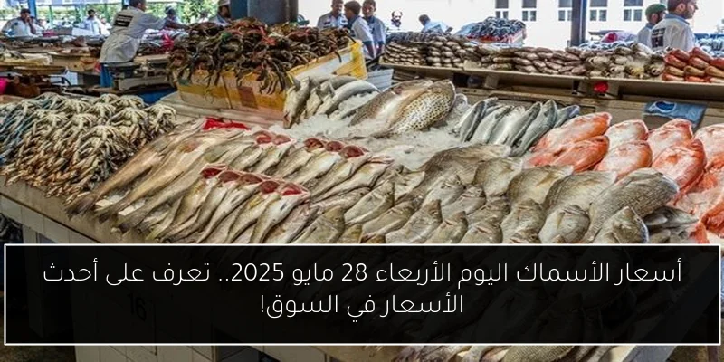 أسعار الأسماك اليوم الأربعاء 28 مايو 2025.. تعرف على أحدث الأسعار في السوق!