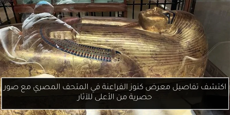 اكتشف تفاصيل معرض كنوز الفراعنة في المتحف المصري مع صور حصرية من الأعلى للآثار