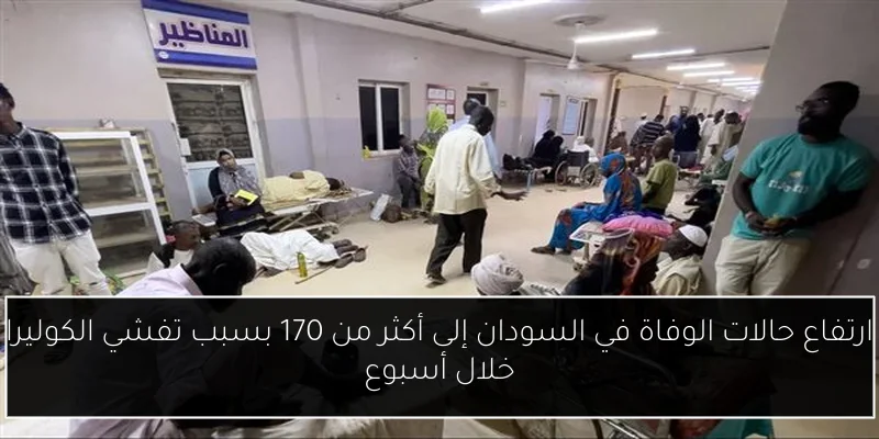 هل يجب أن أضحي أم أساعد ابنتي المحتاجة؟ إليك إجابة أمين الفتوى