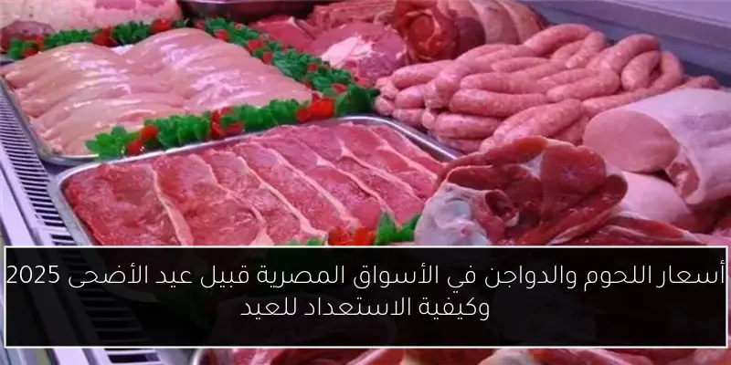 أسعار اللحوم والدواجن في الأسواق المصرية قبيل عيد الأضحى 2025 وكيفية الاستعداد للعيد