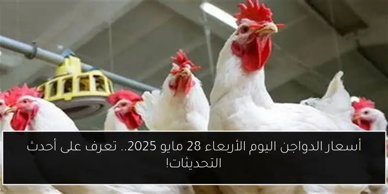 أسعار الدواجن اليوم الأربعاء 28 مايو 2025.. تعرف على أحدث التحديثات!