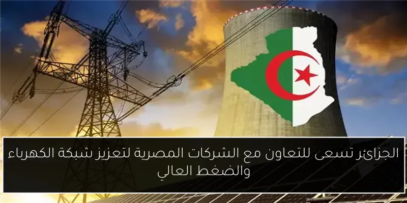 وزير الخارجية المصري يؤكد أمام مجلس الناتو رفض بلاده لسياسة التجويع في غزة