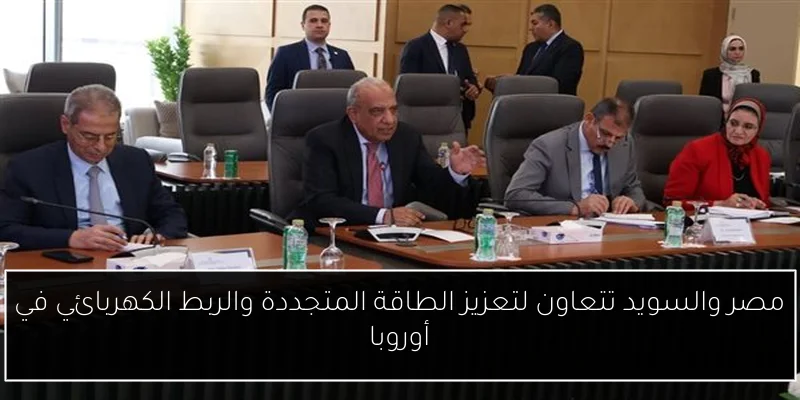مصر والسويد تتعاون لتعزيز الطاقة المتجددة والربط الكهربائي في أوروبا