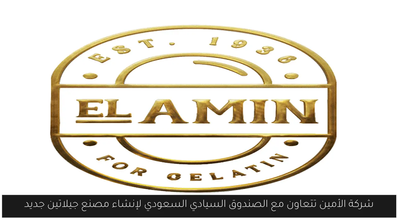 زيارة وزير الخارجية الألماني إلى مصر غداً لتعزيز التعاون ومناقشة التطورات الإقليمية الهامة