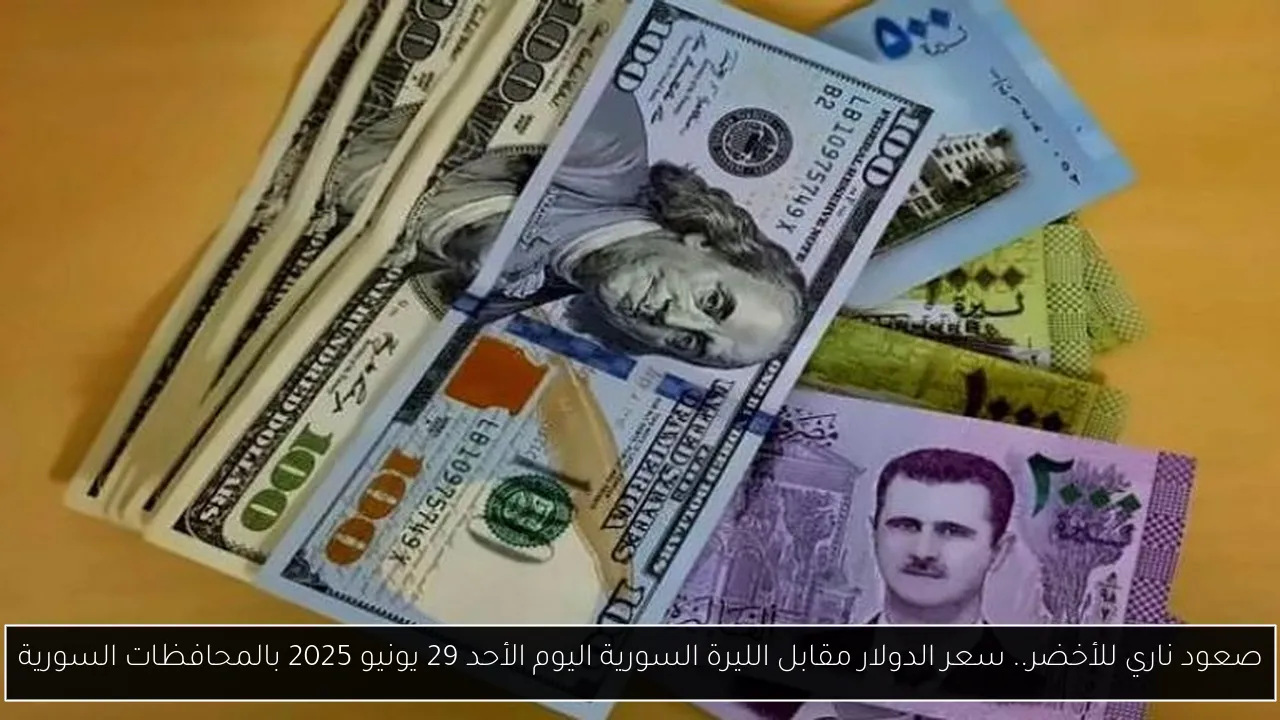 صعود ناري للأخضر.. سعر الدولار مقابل الليرة السورية اليوم الأحد 29 يونيو 2025 بالمحافظات السورية
