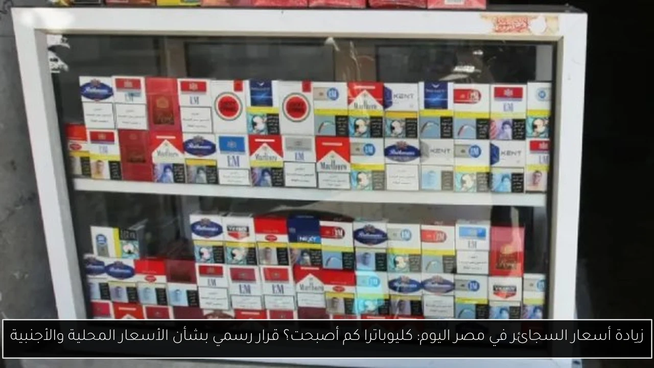 زيادة أسعار السجائر في مصر اليوم: كليوباترا كم أصبحت؟ قرار رسمي بشأن الأسعار المحلية والأجنبية