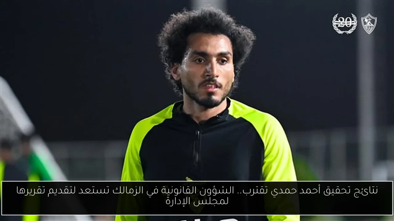 إيرادات السينما أمس.. كريم عبد العزيز يتألق بمشروع X ويتجاوز الجميع بينما ينافسه فيلم ريستارت