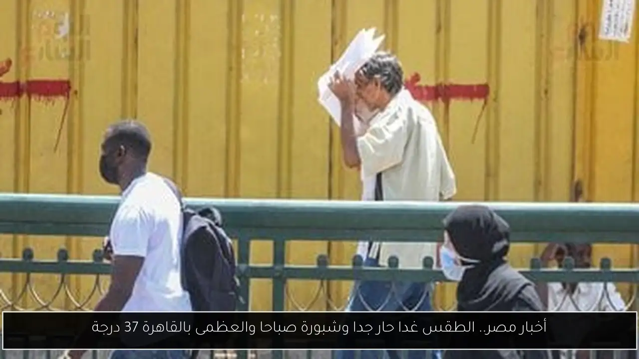 أخبار مصر.. الطقس غدا حار جدا وشبورة صباحا والعظمى بالقاهرة 37 درجة