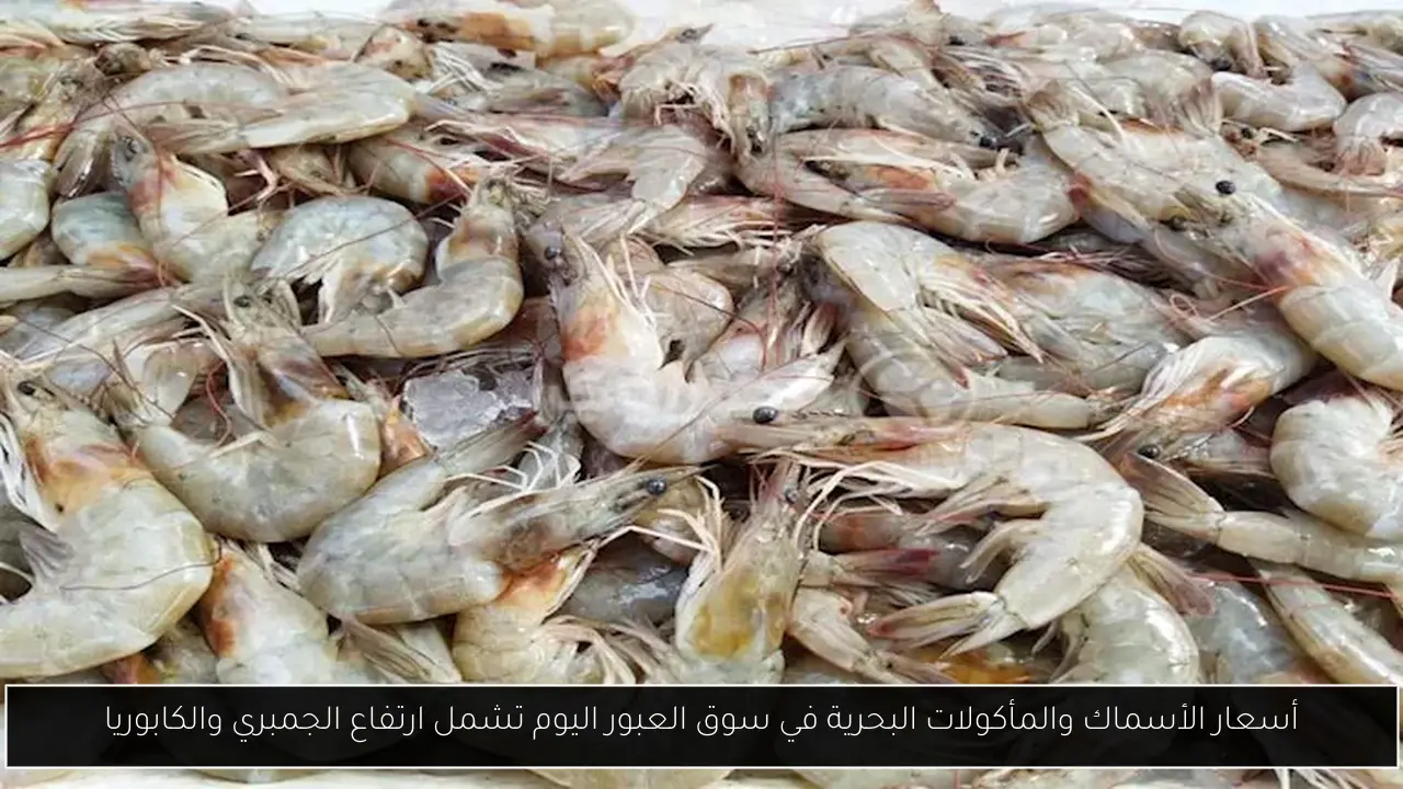 أسعار الأسماك والمأكولات البحرية في سوق العبور اليوم تشمل ارتفاع الجمبري والكابوريا
