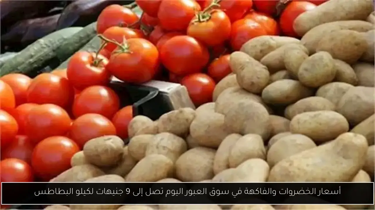 أسعار الخضروات والفاكهة في سوق العبور اليوم تصل إلى 9 جنيهات لكيلو البطاطس
