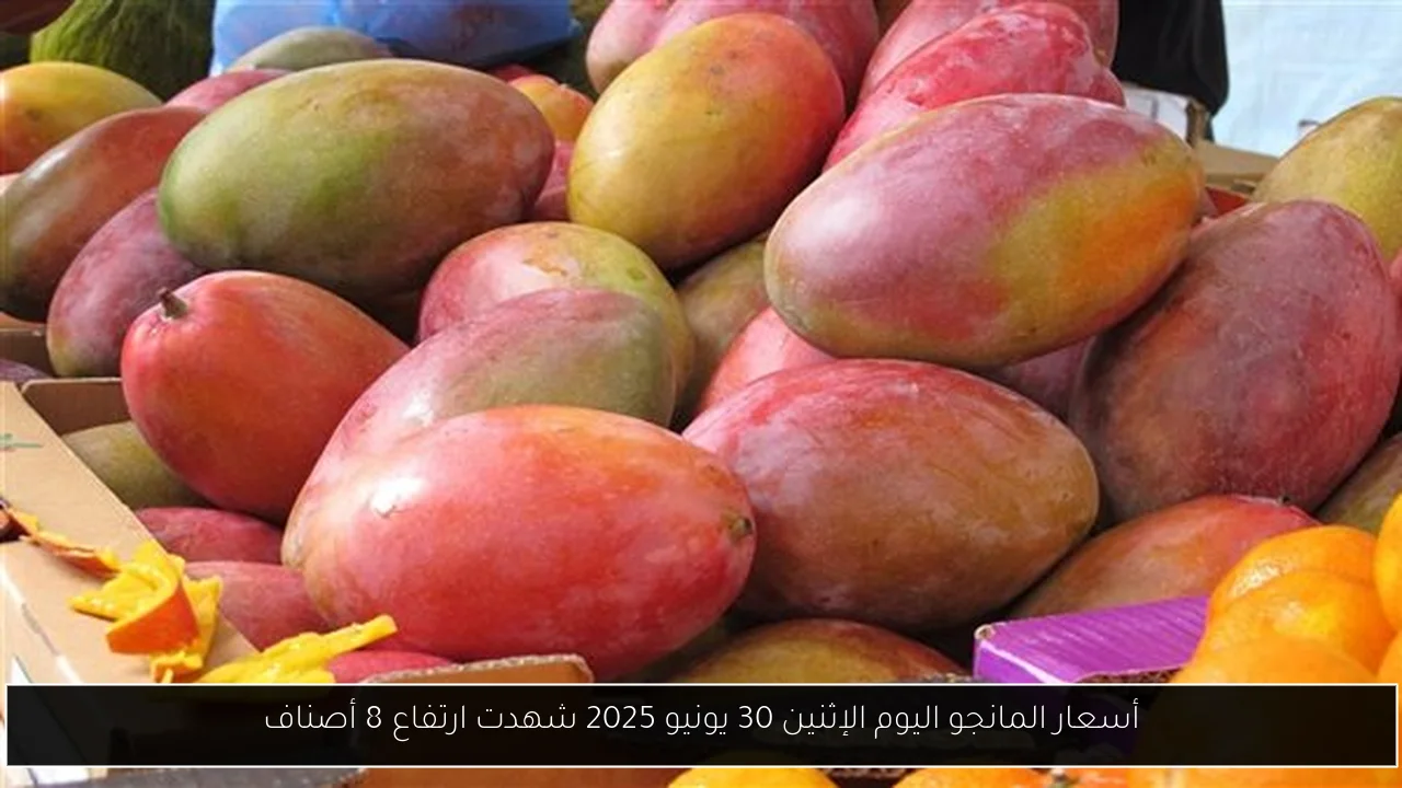 أسعار المانجو اليوم الإثنين 30 يونيو 2025 شهدت ارتفاع 8 أصناف
