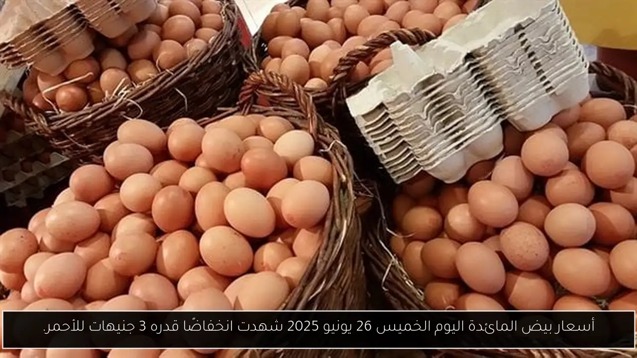 أسعار بيض المائدة اليوم الخميس 26 يونيو 2025 شهدت انخفاضًا قدره 3 جنيهات للأحمر.