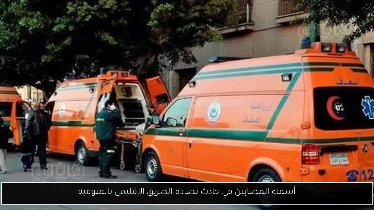 أسماء المصابين في حادث تصادم الطريق الإقليمي بالمنوفية