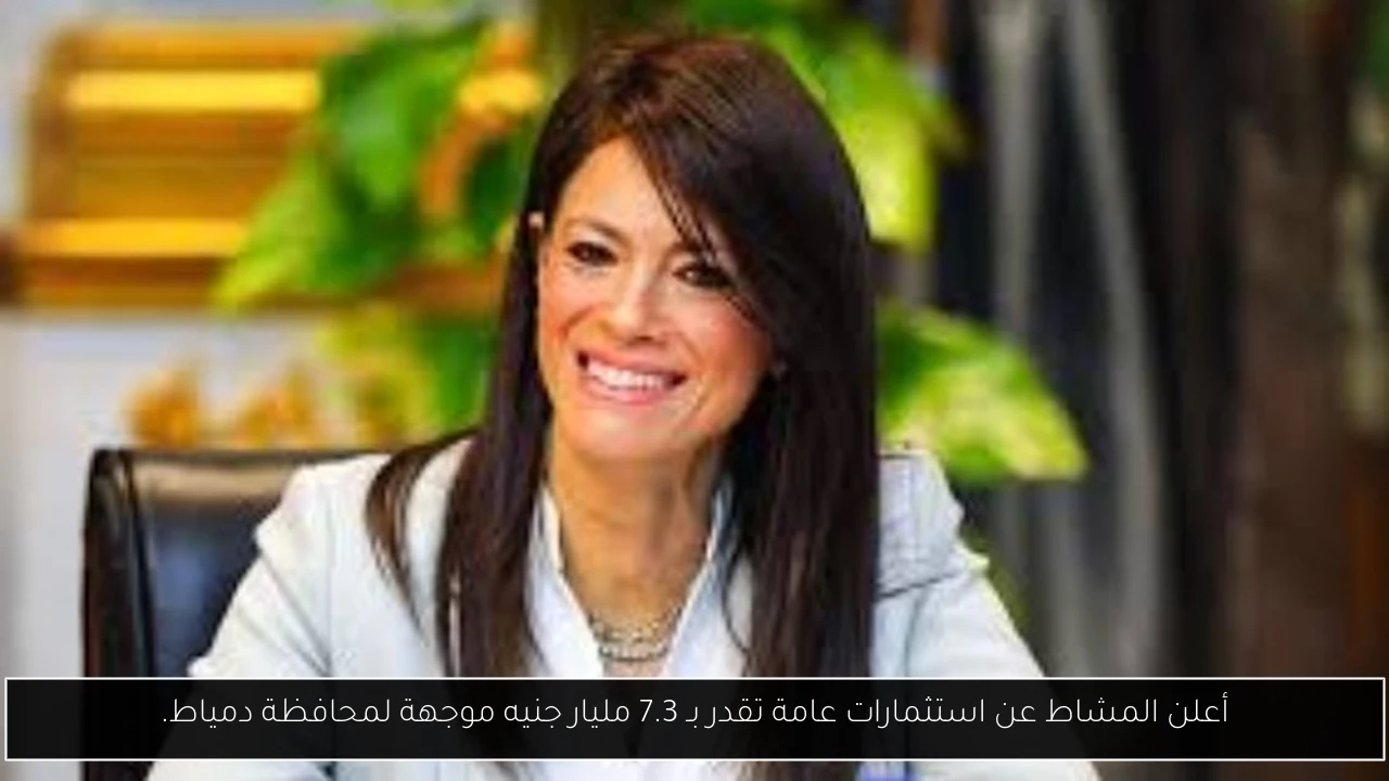 أعلن المشاط عن استثمارات عامة تقدر بـ 7.3 مليار جنيه موجهة لمحافظة دمياط.