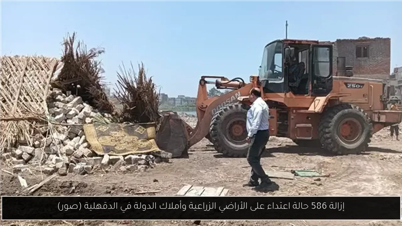 إزالة 586 حالة اعتداء على الأراضي الزراعية وأملاك الدولة في الدقهلية (صور)