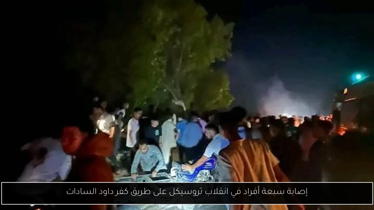 إصابة سبعة أفراد في انقلاب تروسيكل على طريق كفر داود السادات