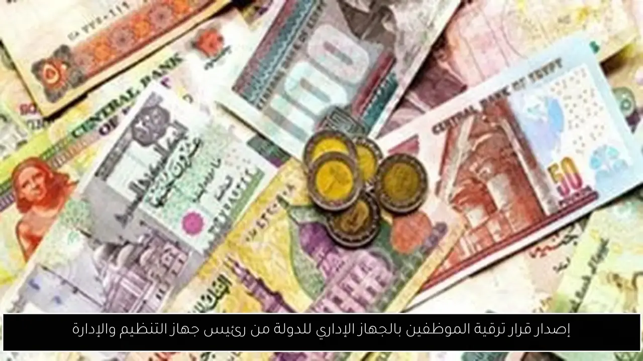 إصدار قرار ترقية الموظفين بالجهاز الإداري للدولة من رئيس جهاز التنظيم والإدارة