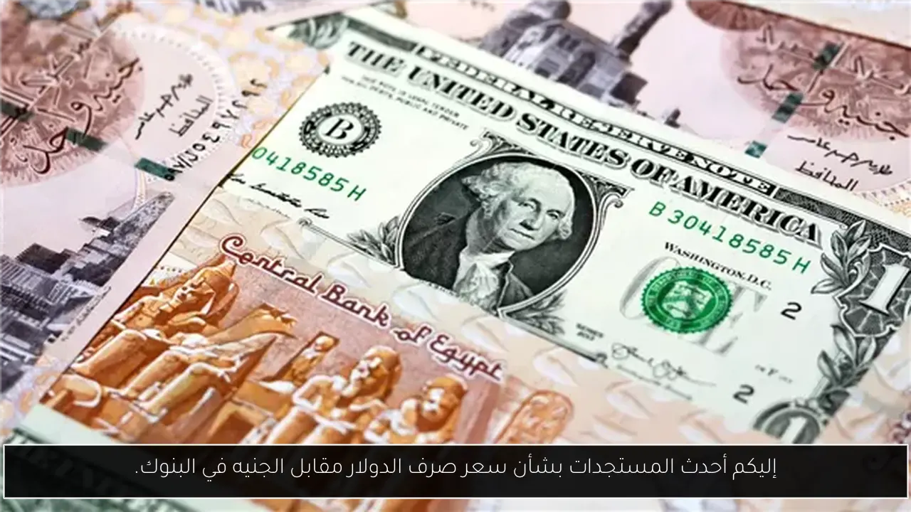 إليكم أحدث المستجدات بشأن سعر صرف الدولار مقابل الجنيه في البنوك.