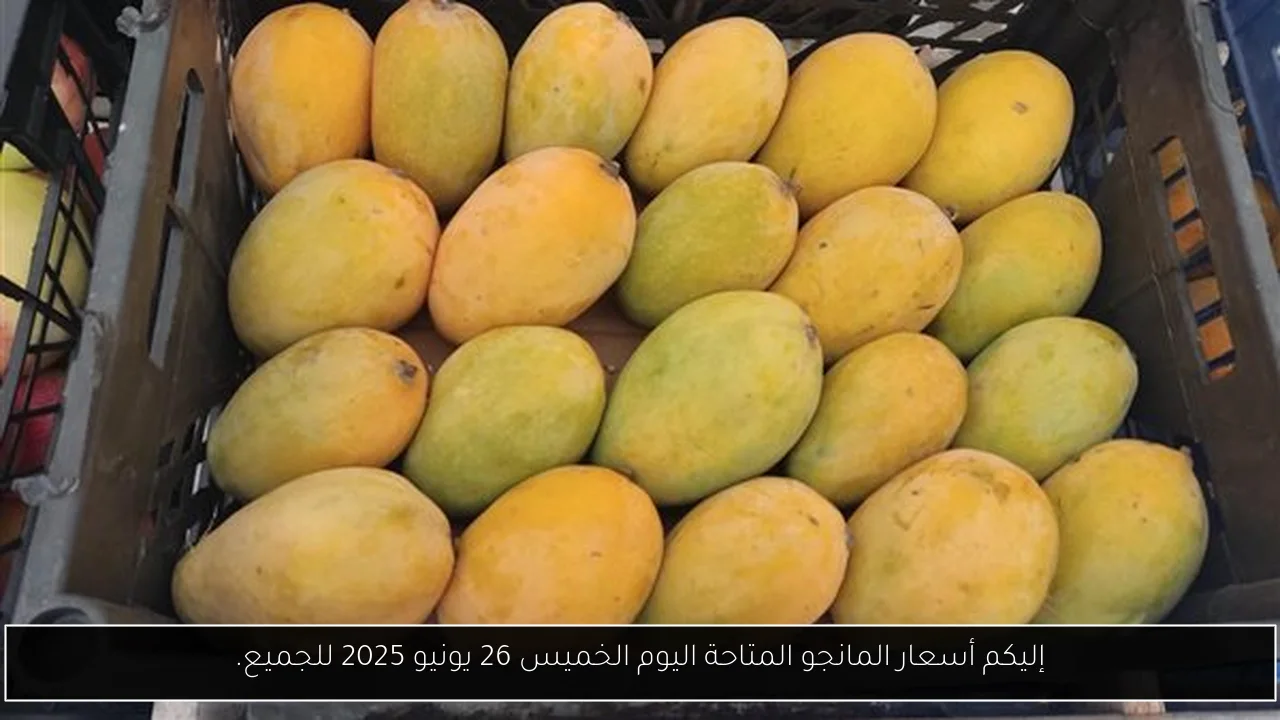 إليكم أسعار المانجو المتاحة اليوم الخميس 26 يونيو 2025 للجميع.